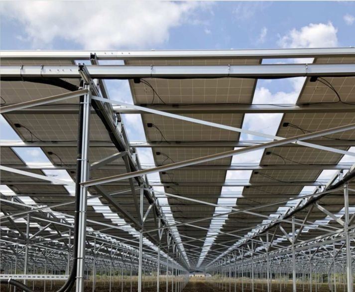Solar Farm and Agriculture (2)