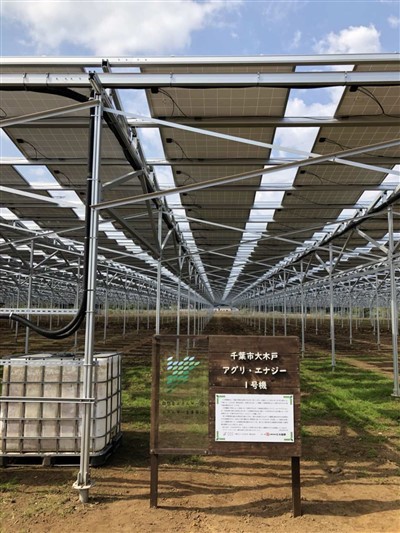 Aurinko agrivoltaics -kiinnitysjärjestelmä